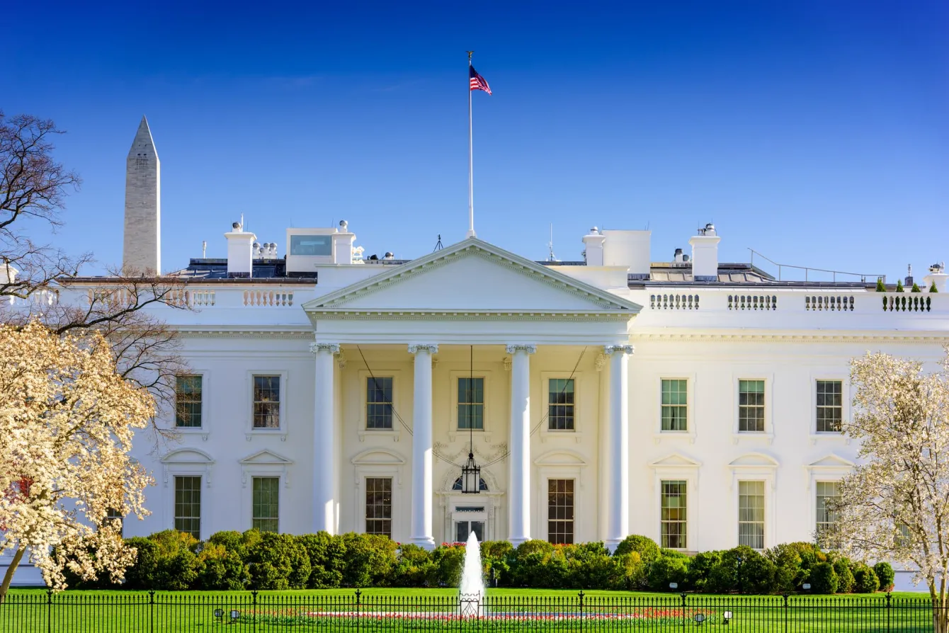 white house 